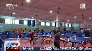 pa视讯官方集团 乒乓球台重量尺寸多少斤